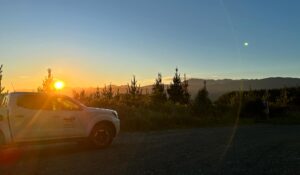 TotalEnergies NZ are back for 2026