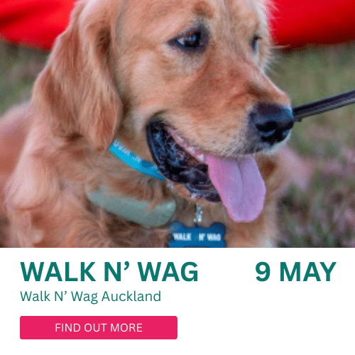 TotalEnergies powers trail series